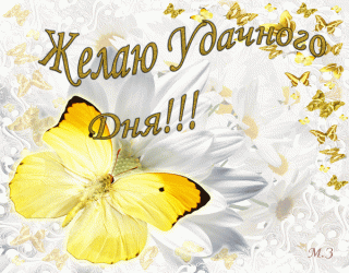 удачного_дня