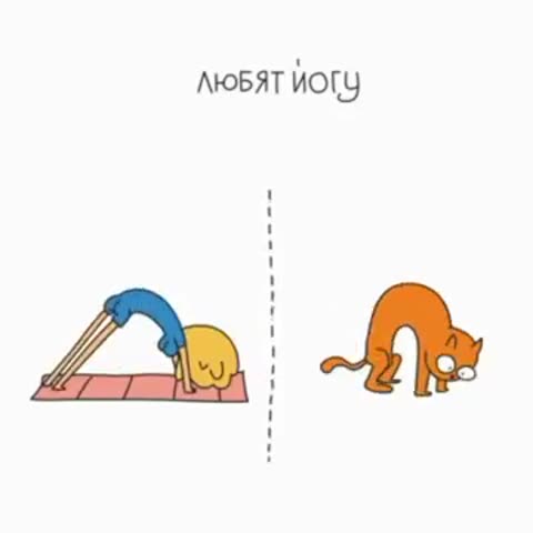 Женщина и кошка