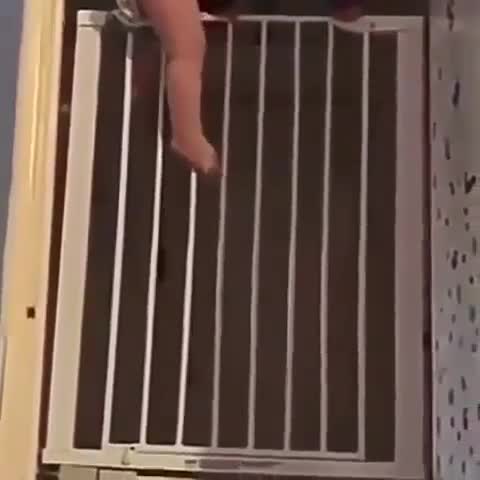 b2c3d14754c1c019249ba88ddfa181a8