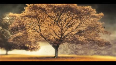 Arash_feat_Helena_-_Broken_Angel_-_360HD_-__VKlipe__