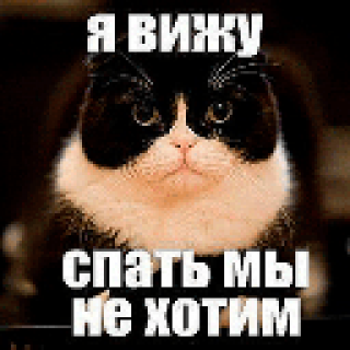 Я_вижу_спать_мы_не_хотим