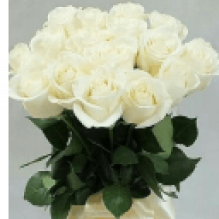 Розы_5