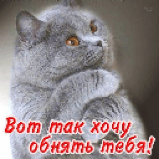Вот_так