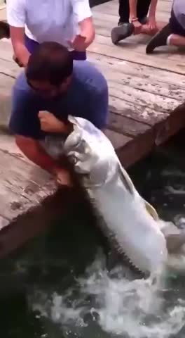 Рыбалочка