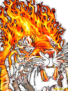 1473235177_pylayuschiy-tigr