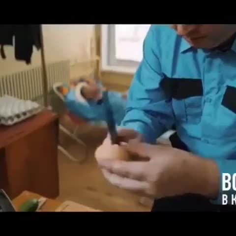 UID5560_1542026358_21-1