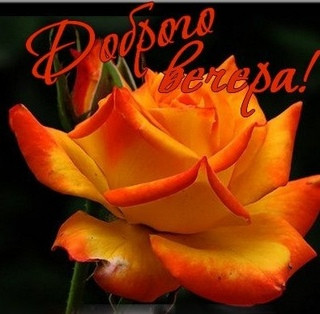 Доброго_вечера