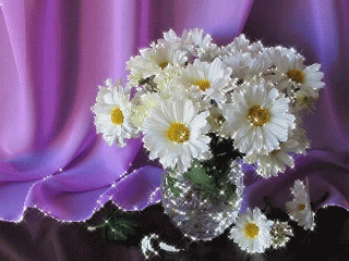 1477676023_animaciya-romashki