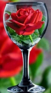роза в бокале