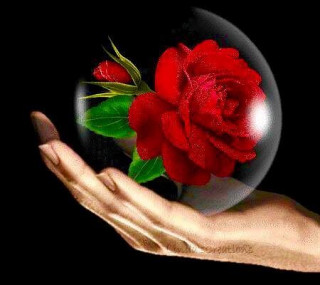 символ красоты