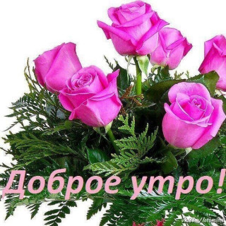 _DOBROE_UTRO