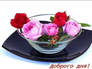 Доброго_дня