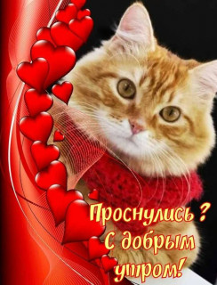 _S_DOBRYM_UTROM___
