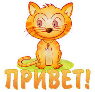 images_q_tbn_ANd9GcTPOtkgjToqzl2utSH2Gfo0JTNmGM