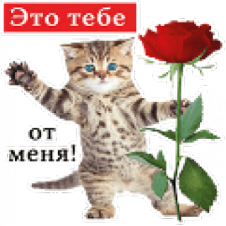 yeto_tebe_ot_menya_