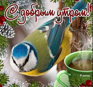 С_добрым_утром