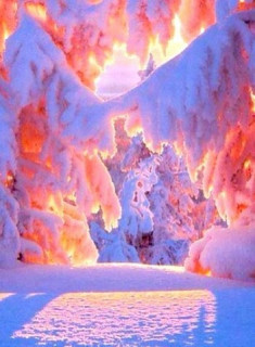 зимняя сказка