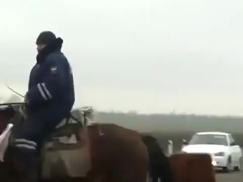 UID7038_1542733391_4