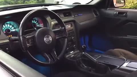 FORD_MUSTANG