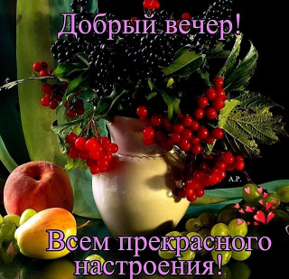 Добрый_вечер-25