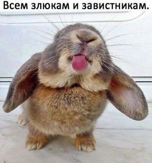 WLjvuNulDmI