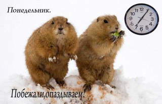 Понедельник