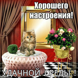 Udachnoj_sredy