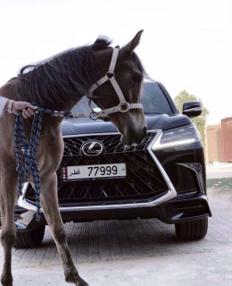 y7SwT4kh_oY