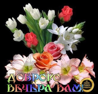 Доброго_вечера_вам