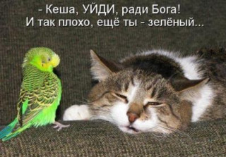 ec7d621aecd87ad59857