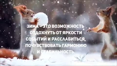 Сказочной_зимы_вам