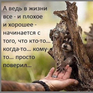 ЖИЗНЬ___