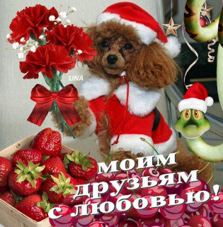 Moim_dzjam