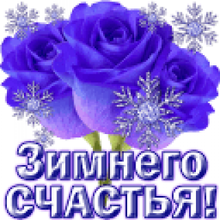 Зимнего_счастья