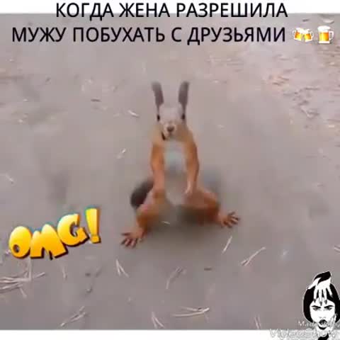 47261940_202883270623597_7503847812220583936_n