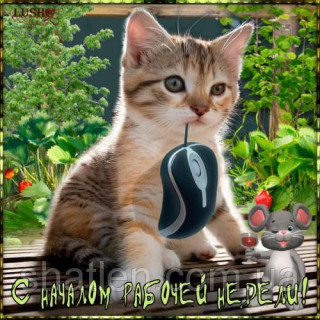 С_началом_рабочей_недели