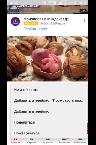 20181203-140058-480x720