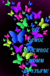 Мои люди бесценны