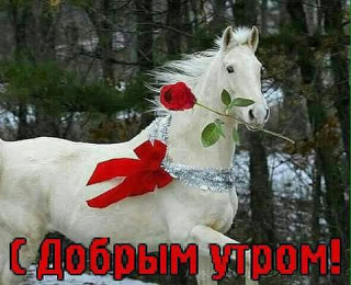 С_Добрым_Утром
