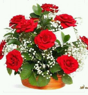 004_MOIM__DZbYAM_nasimke_