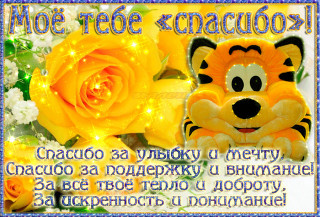 004_Моё_тебе_спасибо