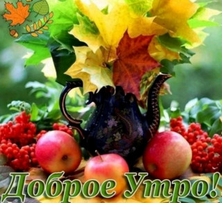 Dobroe_utro-3_