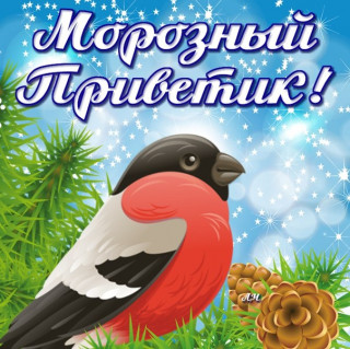 Moroznyj_privetik