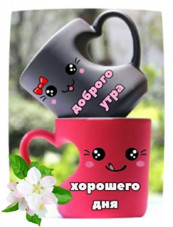 Доброе Утро  Хорошего Дня