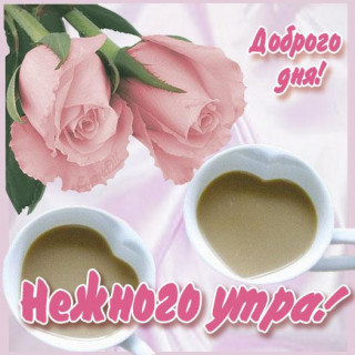 Доброе Утро Нежного Утра