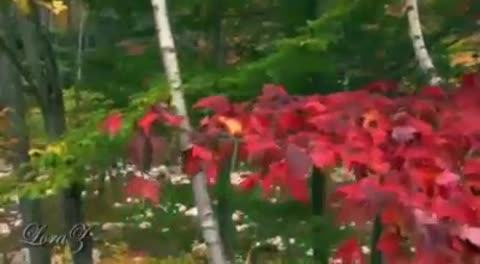 Долгая дорога в дюнах