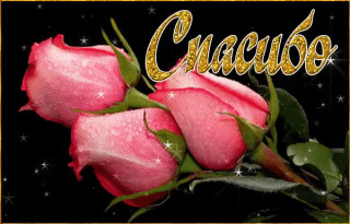Спасибо