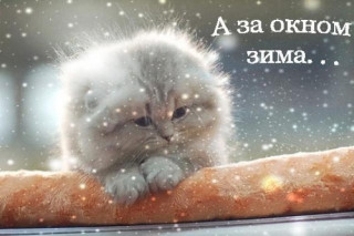 A_za_oknom_zima