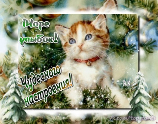 Chudesnogo_nastroenija-1205