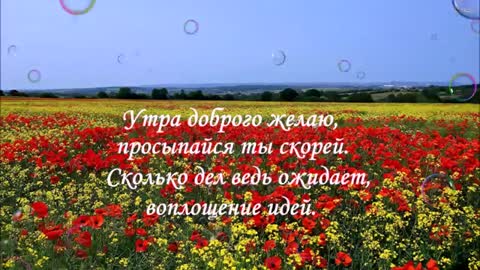 _ДОБРОЕ_УТРО___Красивое_пожелание_с_добрым_утром__Музыкальное_видео__песня__